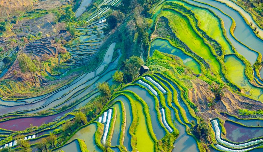 走进龙泉驿区TVC拍摄：解锁本地化场景与创意镜头的完美融合